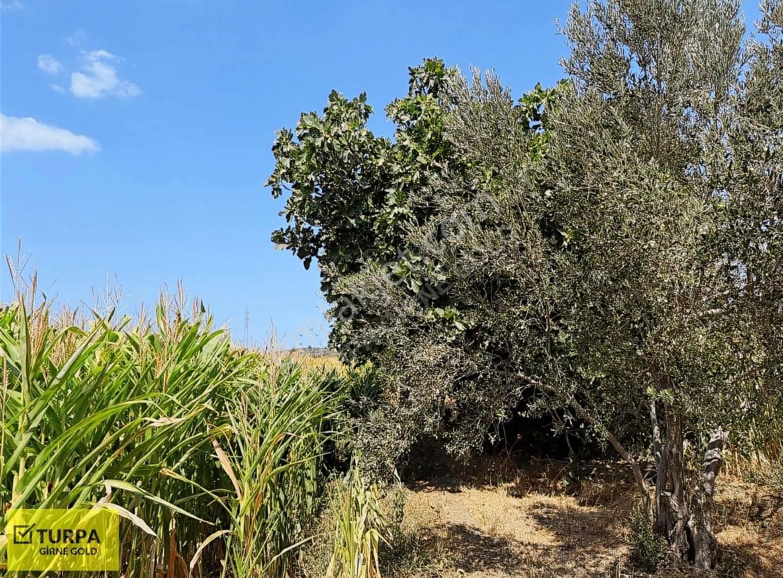 Urla Sıra Mah.de 17.694 M2 Satılık Arazi - Görsel 8