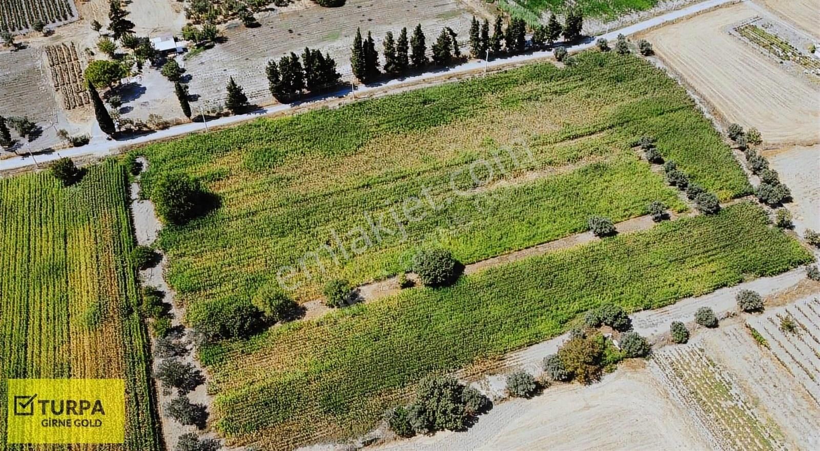 Urla Sıra Mah.de 17.694 M2 Satılık Arazi - Görsel 6