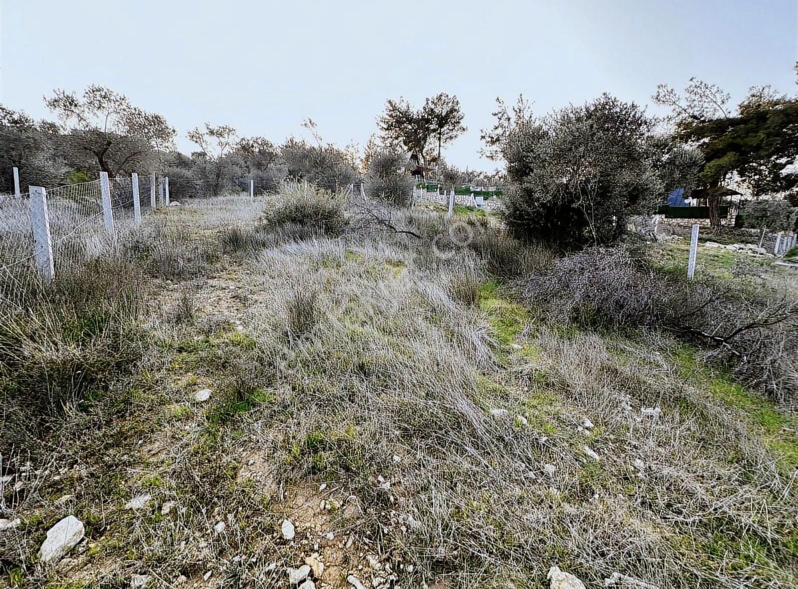 Torbalı Capakda Tapulu 246 M2 Arsa Elektrik-su-tel Cit Arac Tks - Görsel 6