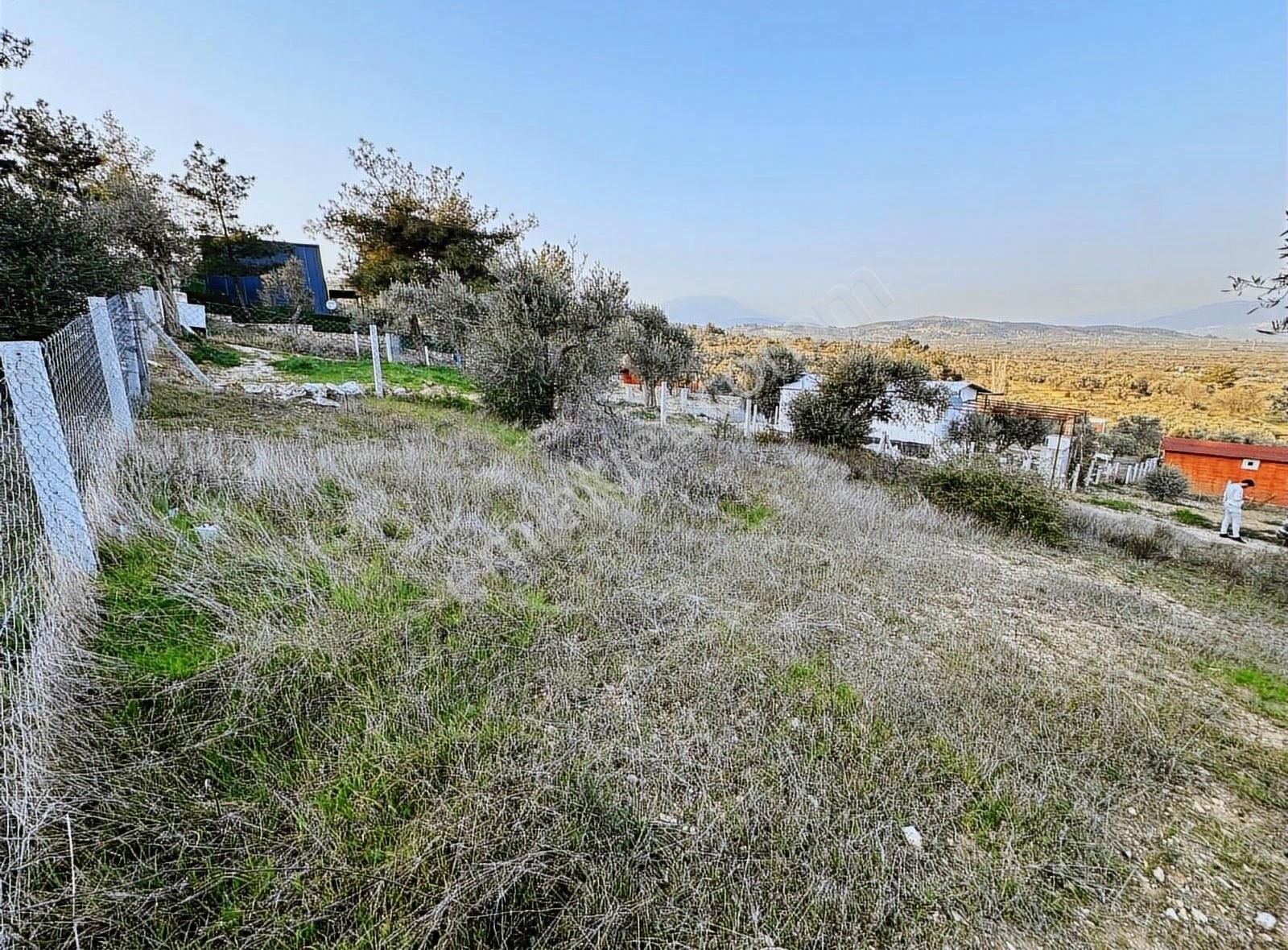 Torbalı Capakda Tapulu 246 M2 Arsa Elektrik-su-tel Cit Arac Tks