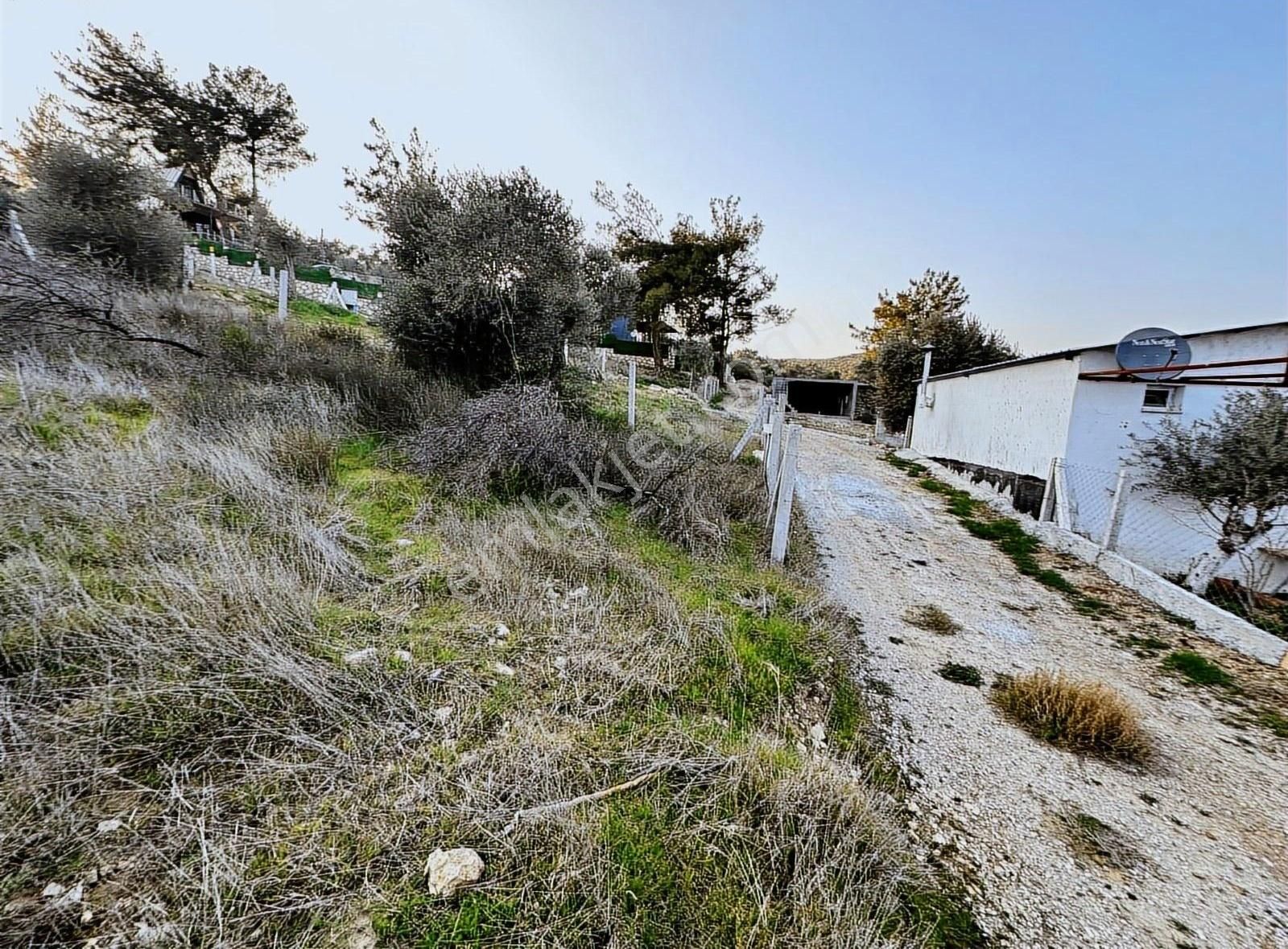Torbalı Capakda Tapulu 246 M2 Arsa Elektrik-su-tel Cit Arac Tks - Görsel 5