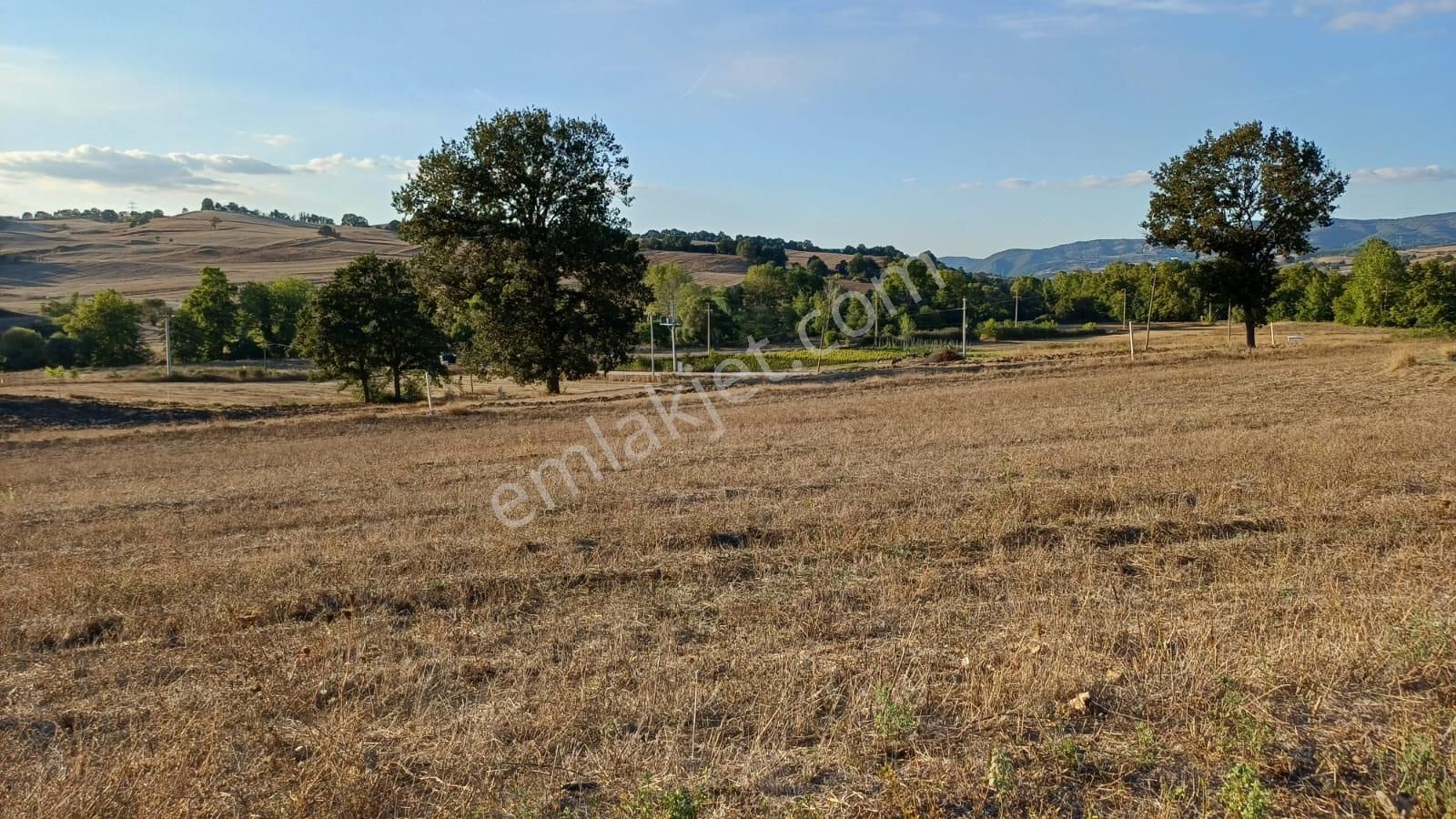 Kocaeli Karamürsel Kızderbent 5.924 M² Yatırımlık Satılık Tarla - Görsel 11