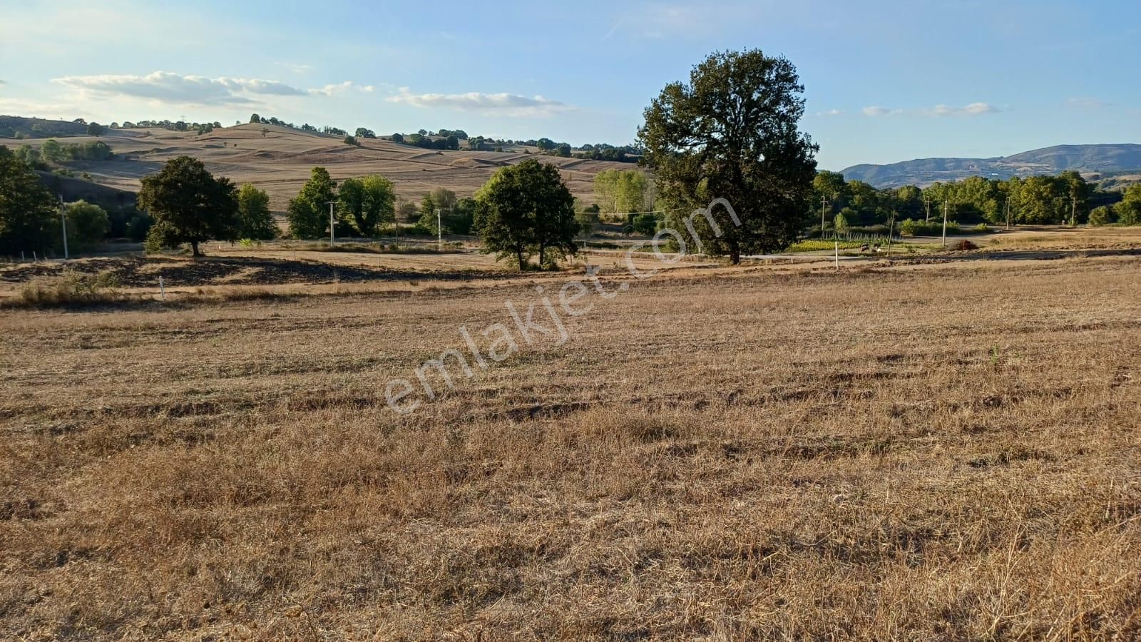 Kocaeli Karamürsel Kızderbent 5.924 M² Yatırımlık Satılık Tarla - Görsel 10