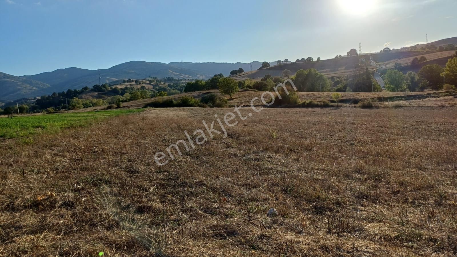 Kocaeli Karamürsel Kızderbent 5.924 M² Yatırımlık Satılık Tarla - Görsel 14