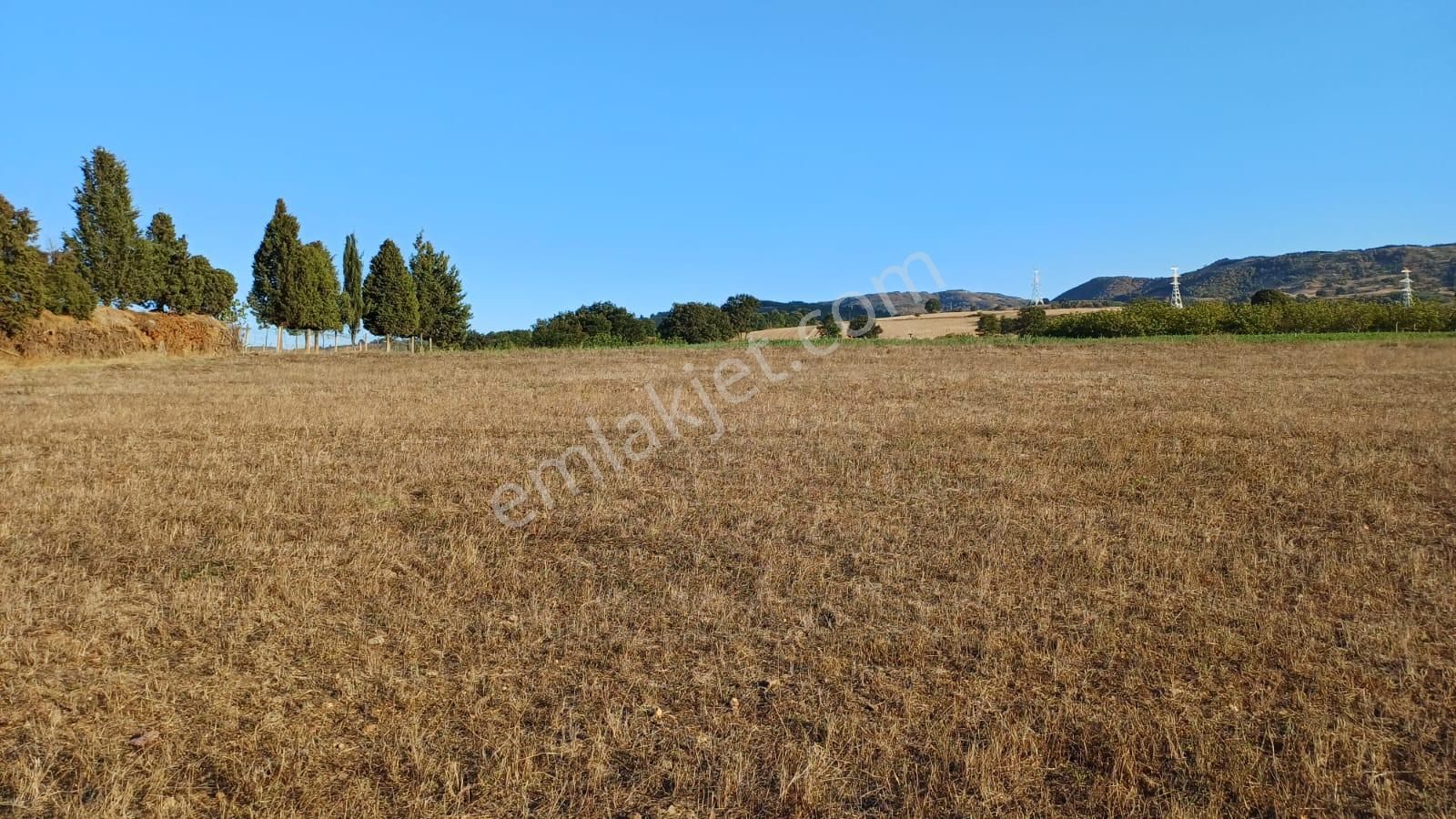 Kocaeli Karamürsel Kızderbent 5.924 M² Yatırımlık Satılık Tarla - Görsel 5