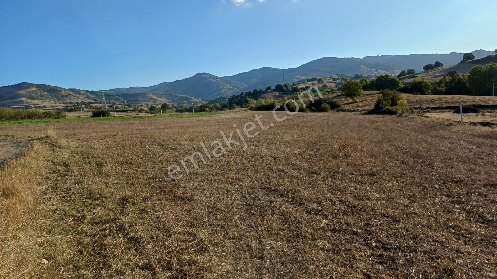 Kocaeli Karamürsel Kızderbent 5.924 M² Yatırımlık Satılık Tarla - Görsel 3