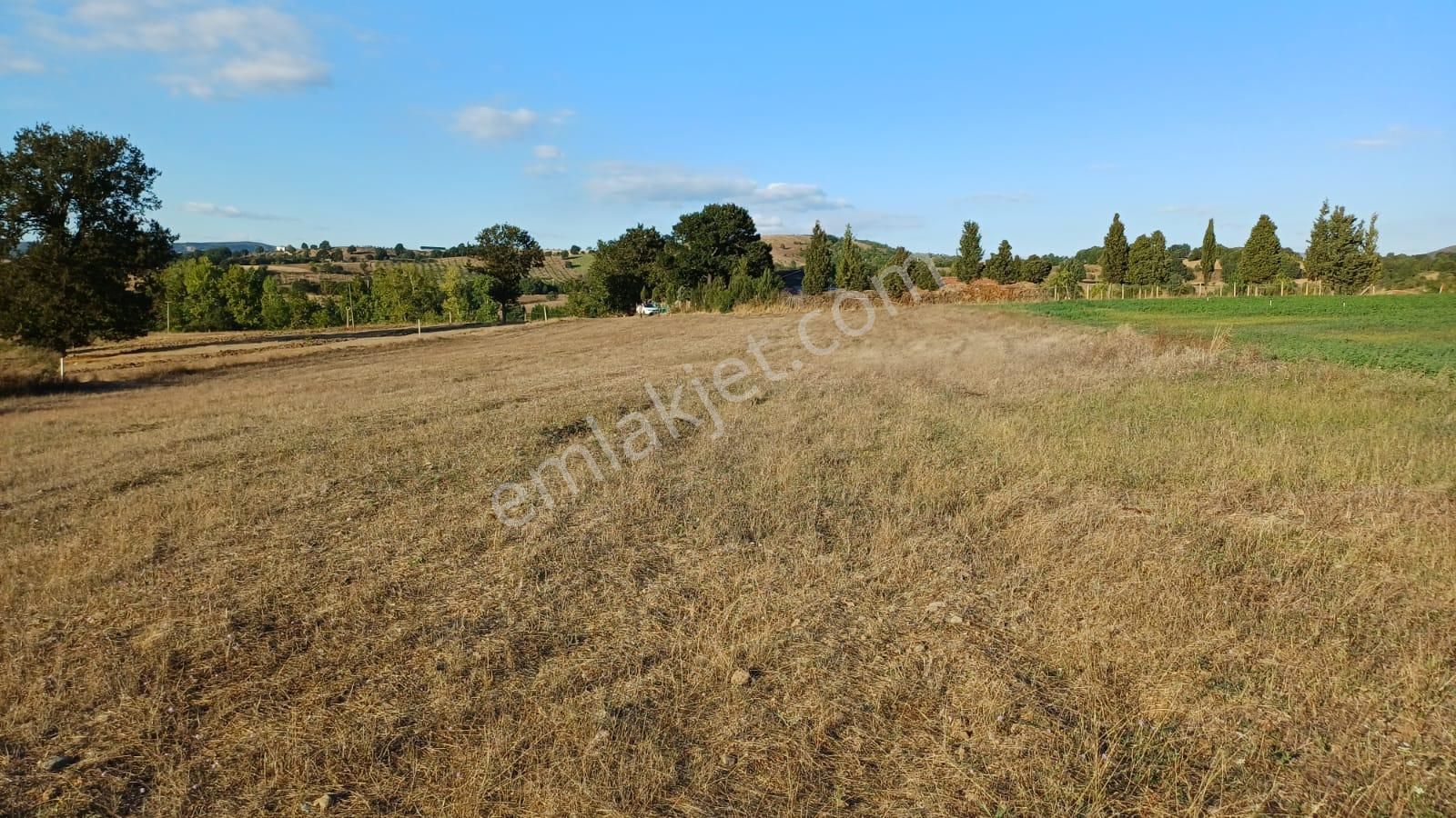 Kocaeli Karamürsel Kızderbent 5.924 M² Yatırımlık Satılık Tarla - Görsel 8