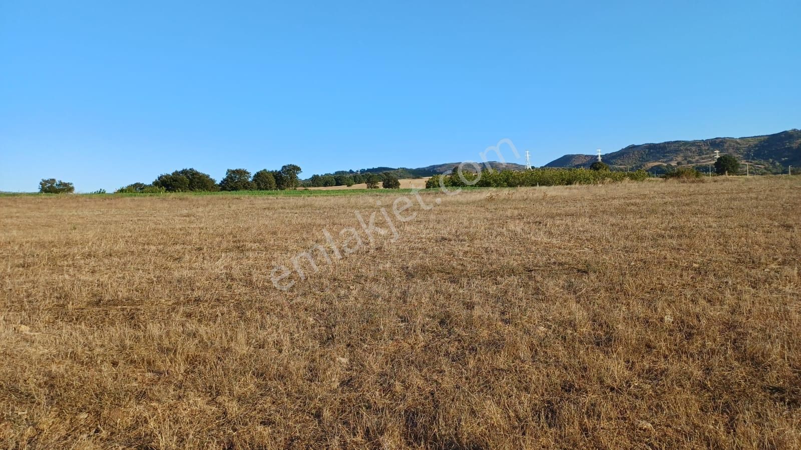 Kocaeli Karamürsel Kızderbent 5.924 M² Yatırımlık Satılık Tarla - Görsel 4