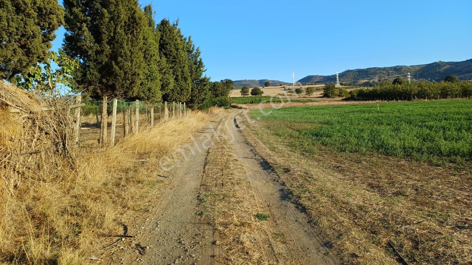 Kocaeli Karamürsel Kızderbent 5.924 M² Yatırımlık Satılık Tarla - Görsel 13