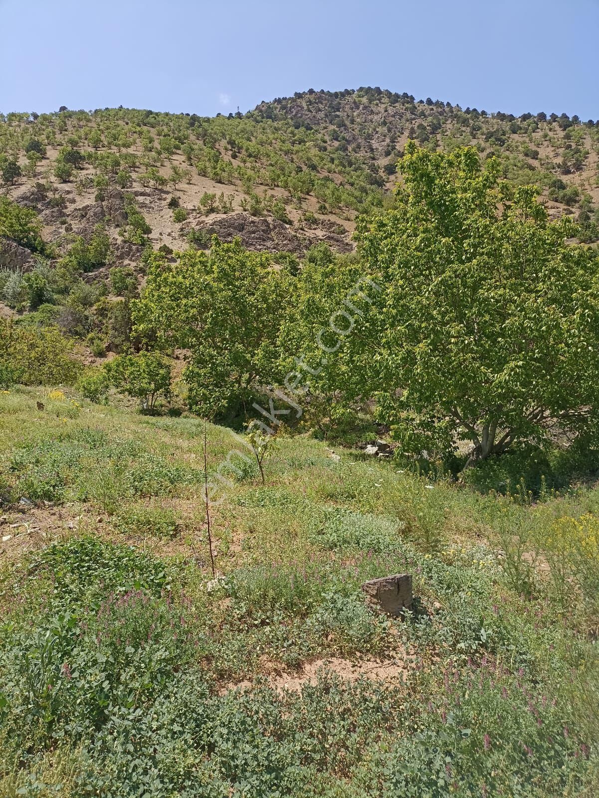Satılık Bahce - Görsel 4