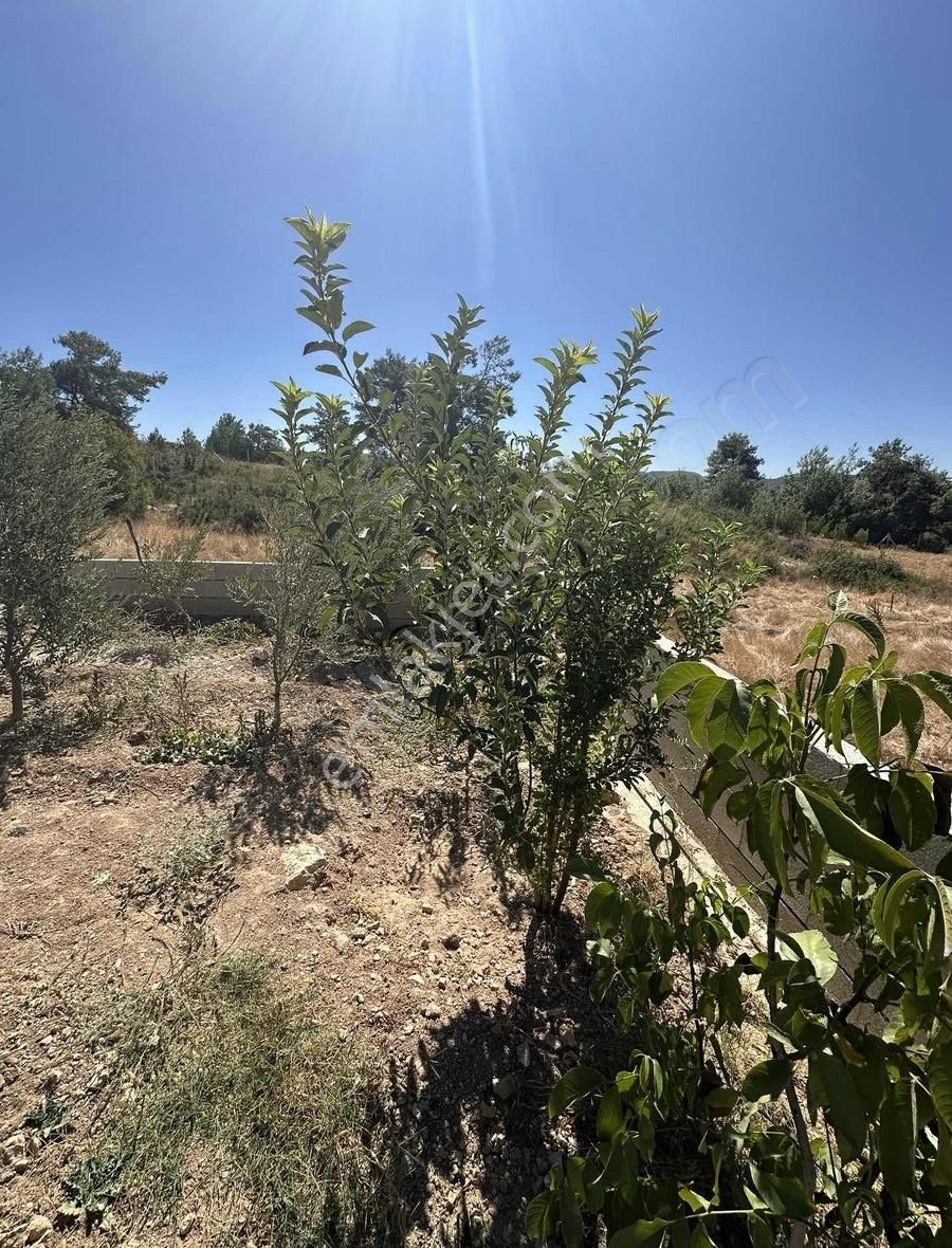 Akbaşlar'dan Milas Çamköy'de Prefabrikli Eşyalı Hobby Bahçesi - Görsel 5