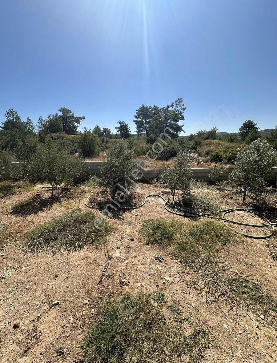 Akbaşlar'dan Milas Çamköy'de Prefabrikli Eşyalı Hobby Bahçesi - Görsel 8