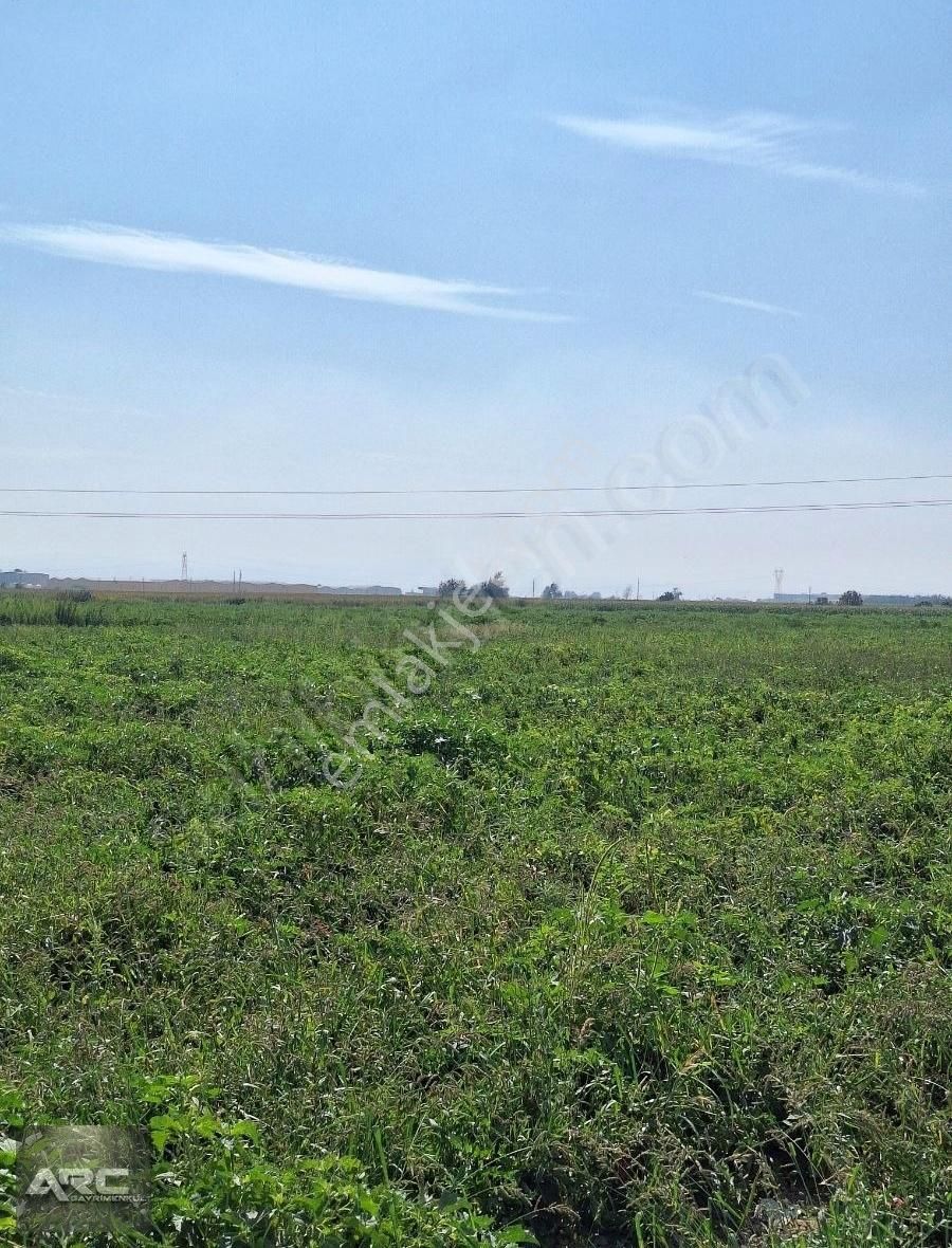 Karacabey Canbalı Da Satılık Yatırımlık Arazi - Görsel 14