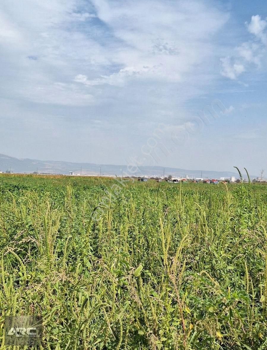 Karacabey Canbalı Da Satılık Yatırımlık Arazi - Görsel 10