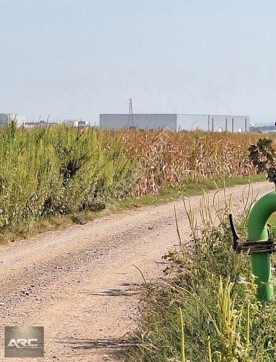 Karacabey Canbalı Da Satılık Yatırımlık Arazi - Görsel 3