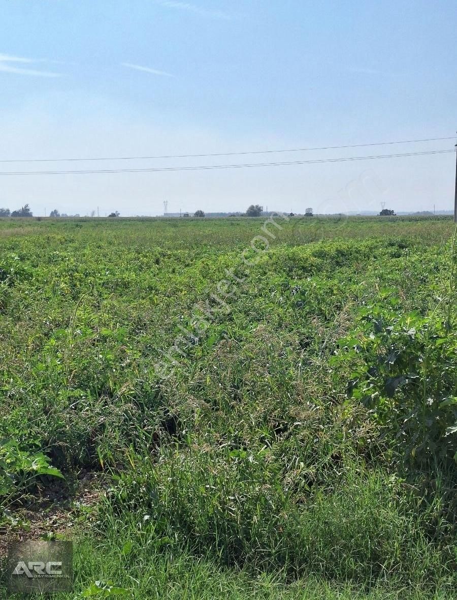 Karacabey Canbalı Da Satılık Yatırımlık Arazi