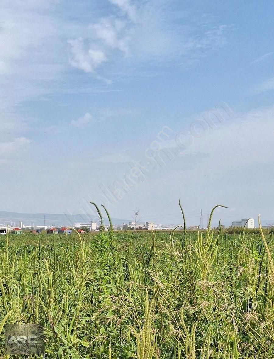 Karacabey Canbalı Da Satılık Yatırımlık Arazi - Görsel 4
