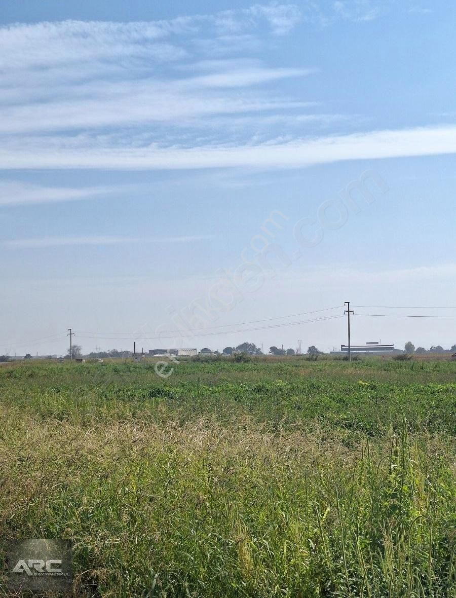 Karacabey Canbalı Da Satılık Yatırımlık Arazi - Görsel 7