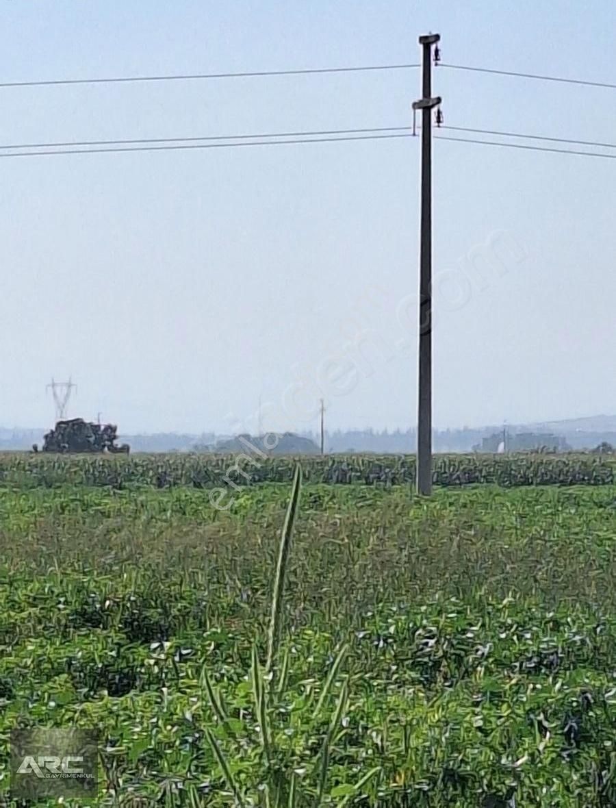 Karacabey Canbalı Da Satılık Yatırımlık Arazi - Görsel 11