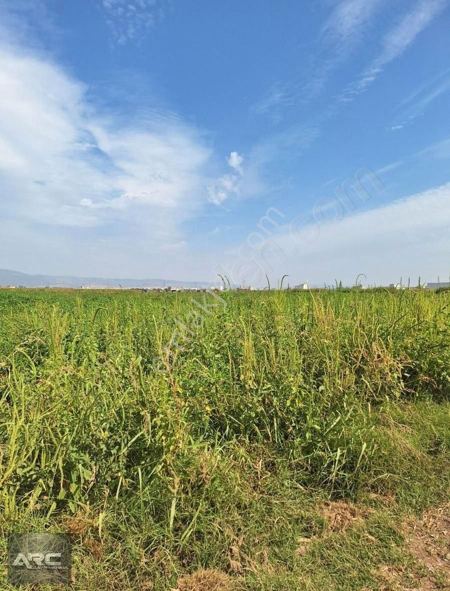Karacabey Canbalı Da Satılık Yatırımlık Arazi - Görsel 6