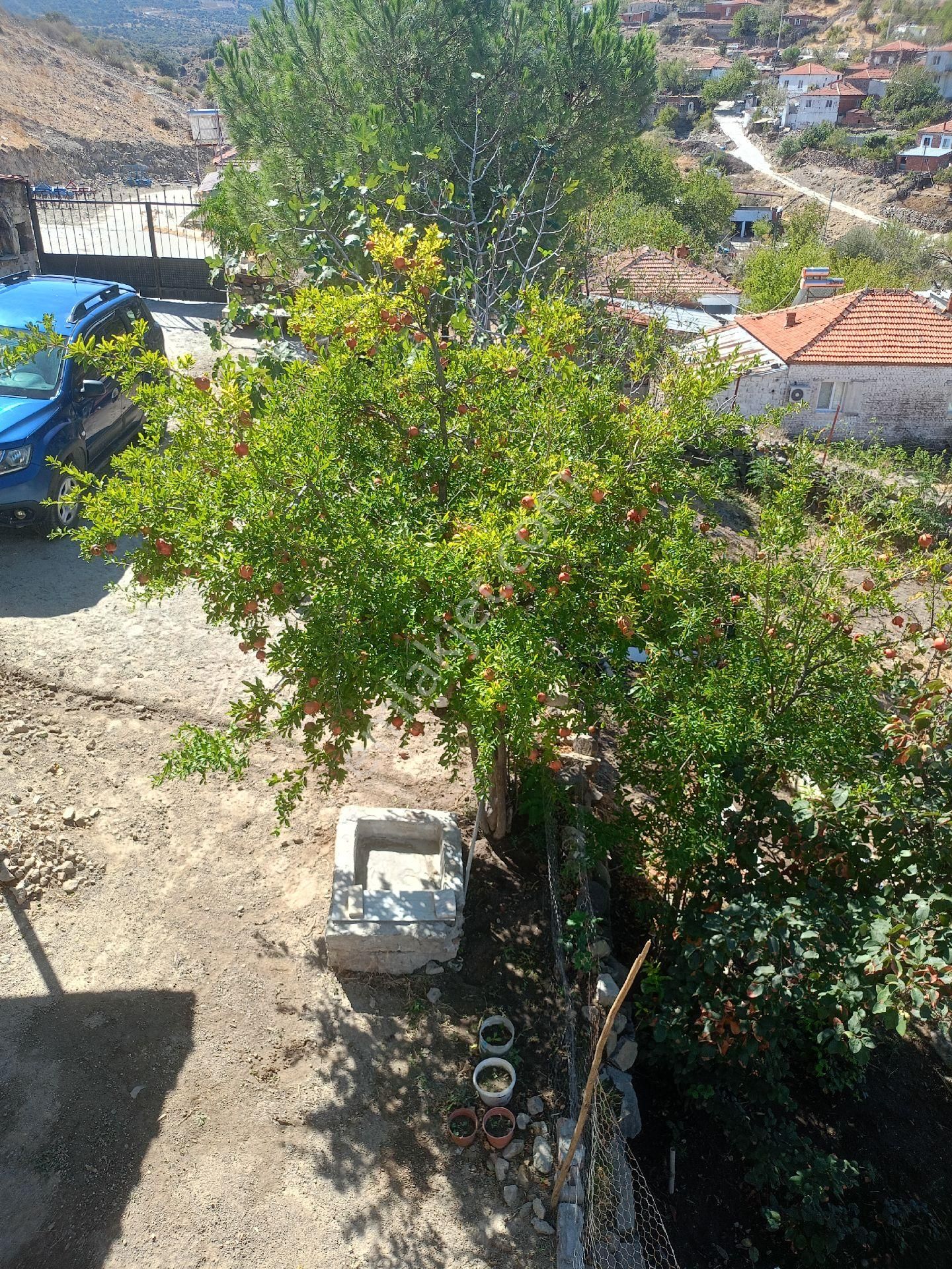 Koyuneli Mahallesi / Satılık Bahçeli Taş Ev / 5+1 / Bergama - Görsel 12