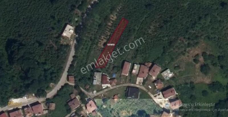 Fatsaya 18 Dk Mesafede Satılık Deniz Man. Düz Eğimsiz Arsa - Görsel 3