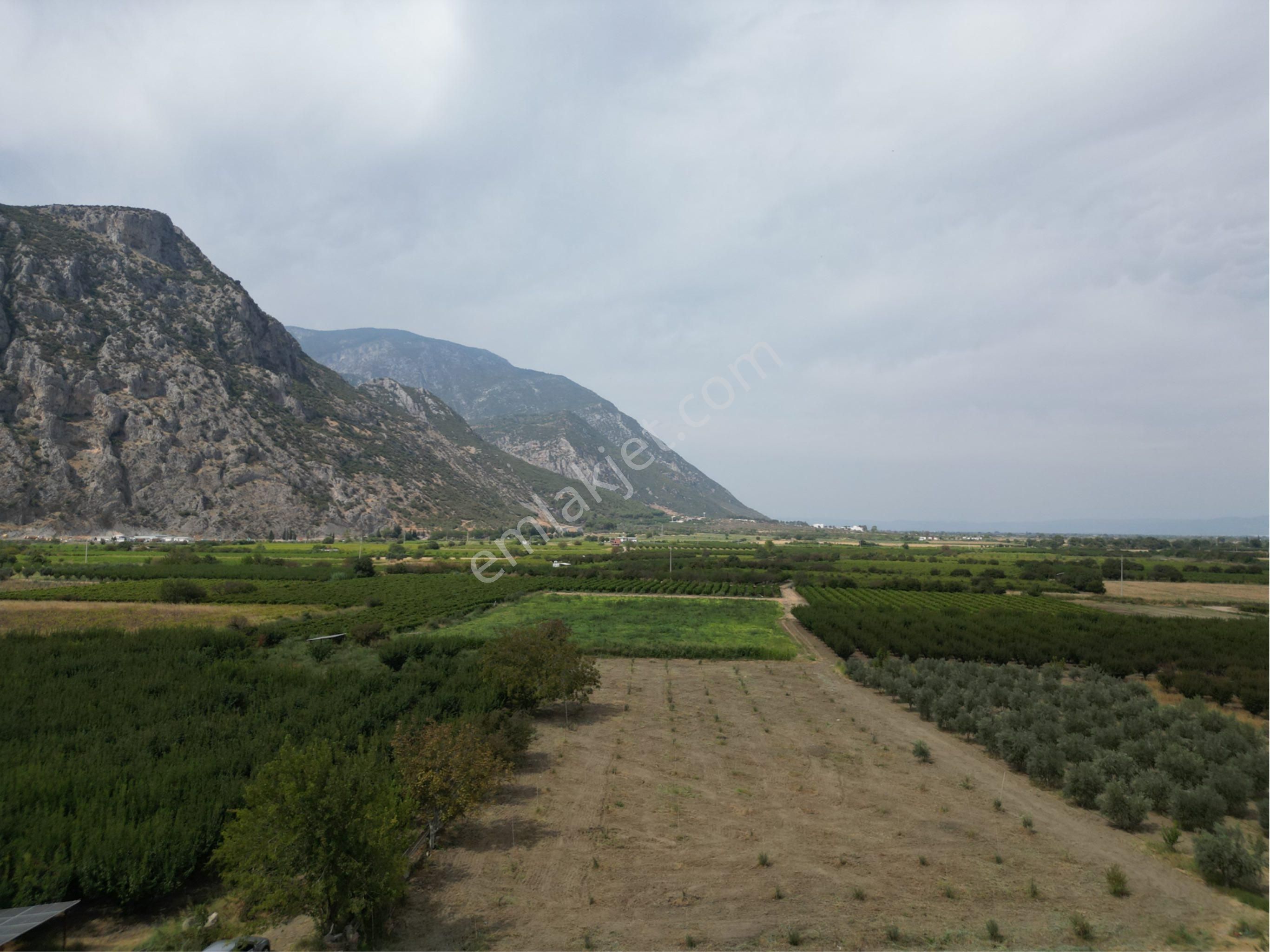 Beyaz Gayrimenkulden Yukarı Cobanisa Mh 3.900 M2 Zeytinlik - Görsel 8