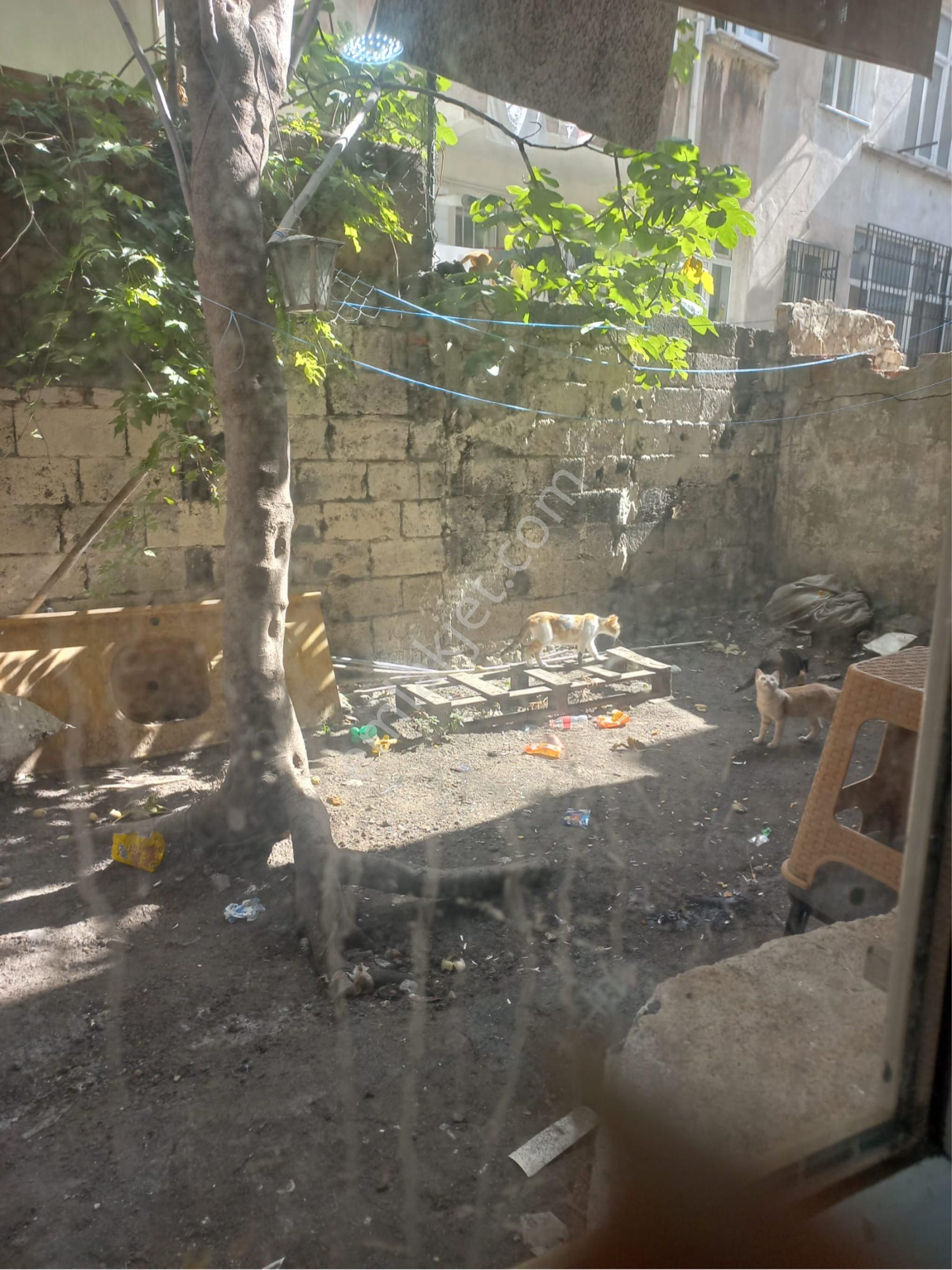 Ecem Emlaktan Kocamustafapaşa Cumartesi Pazar İçinde Daire 85m2 - Görsel 13