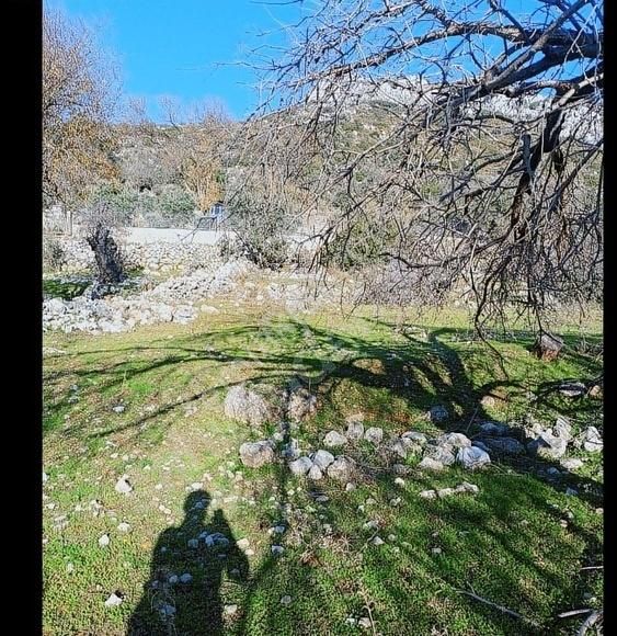 Marmaris Söğüt Bahçeli'de Doga İcersinde Satilik Tek Tapu Tarla