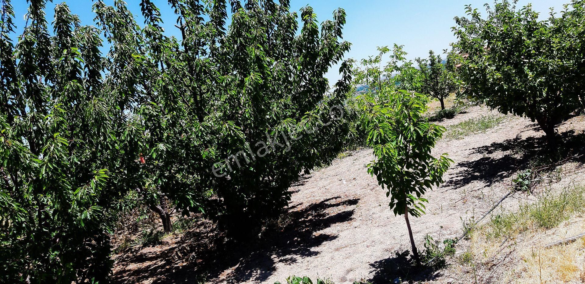 Konya Meram Kozağaç’ta Yatırıma Uygun Satılık 10.272 M² Müstakil Arsa - Görsel 14