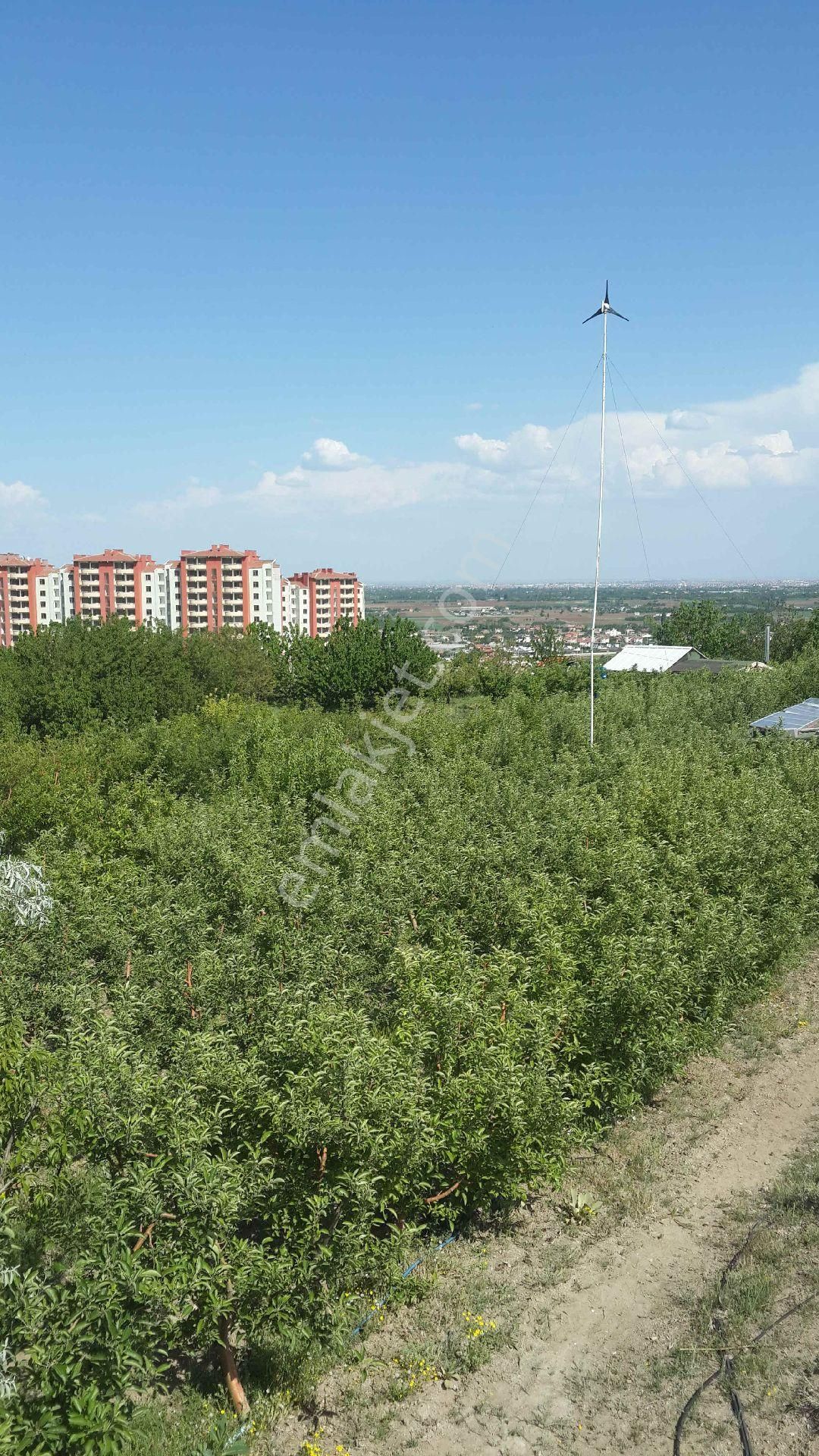 Konya Meram Kozağaç’ta Yatırıma Uygun Satılık 10.272 M² Müstakil Arsa - Görsel 5
