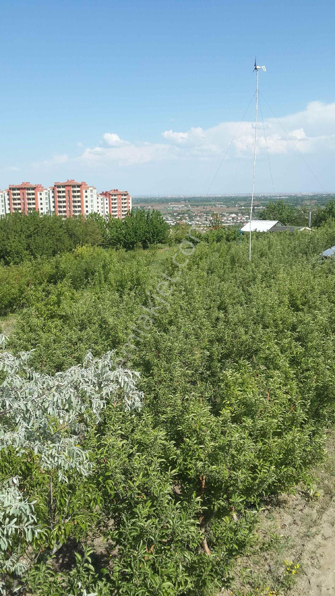 Konya Meram Kozağaç’ta Yatırıma Uygun Satılık 10.272 M² Müstakil Arsa - Görsel 8