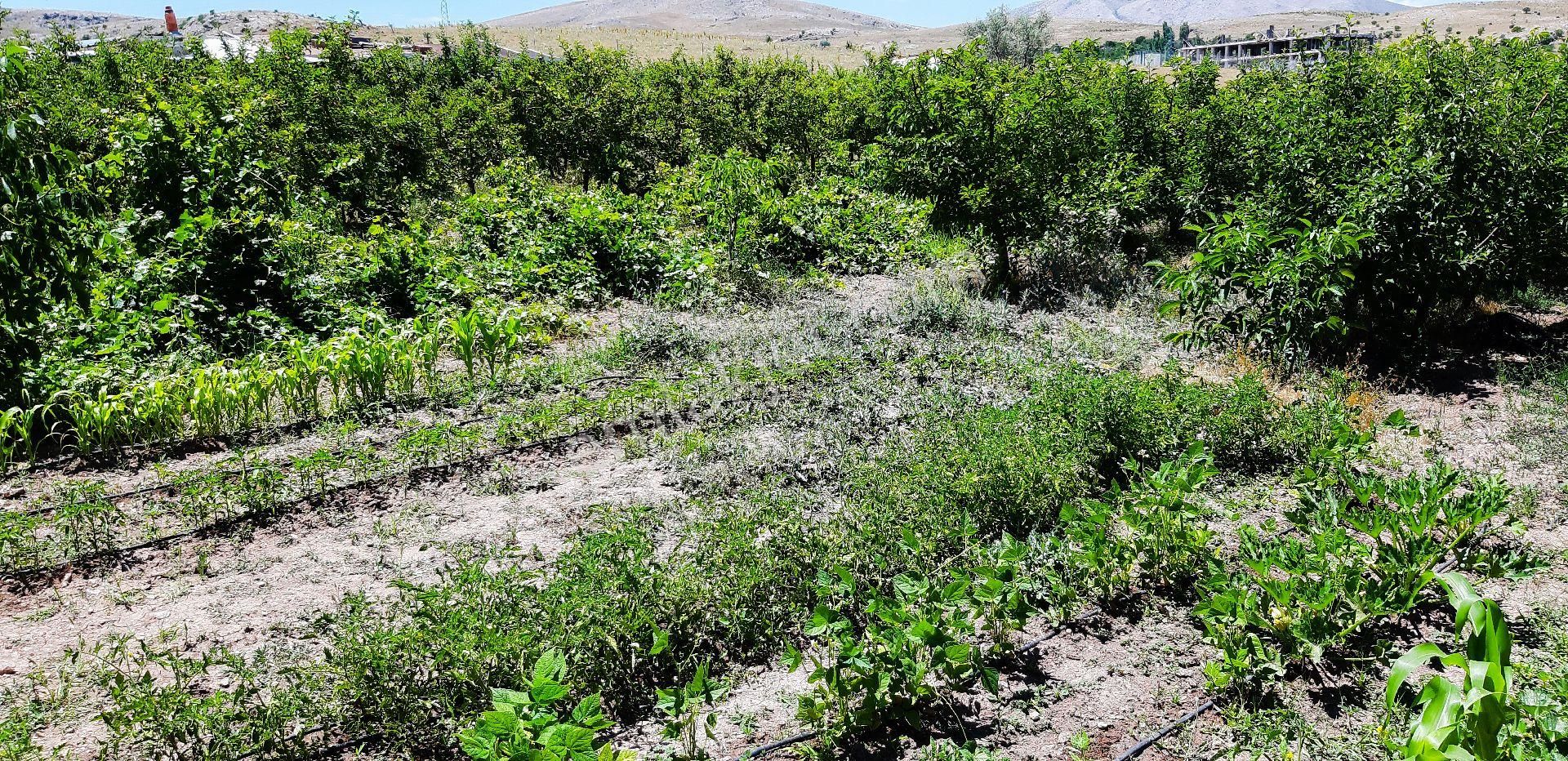 Konya Meram Kozağaç’ta Yatırıma Uygun Satılık 10.272 M² Müstakil Arsa - Görsel 10