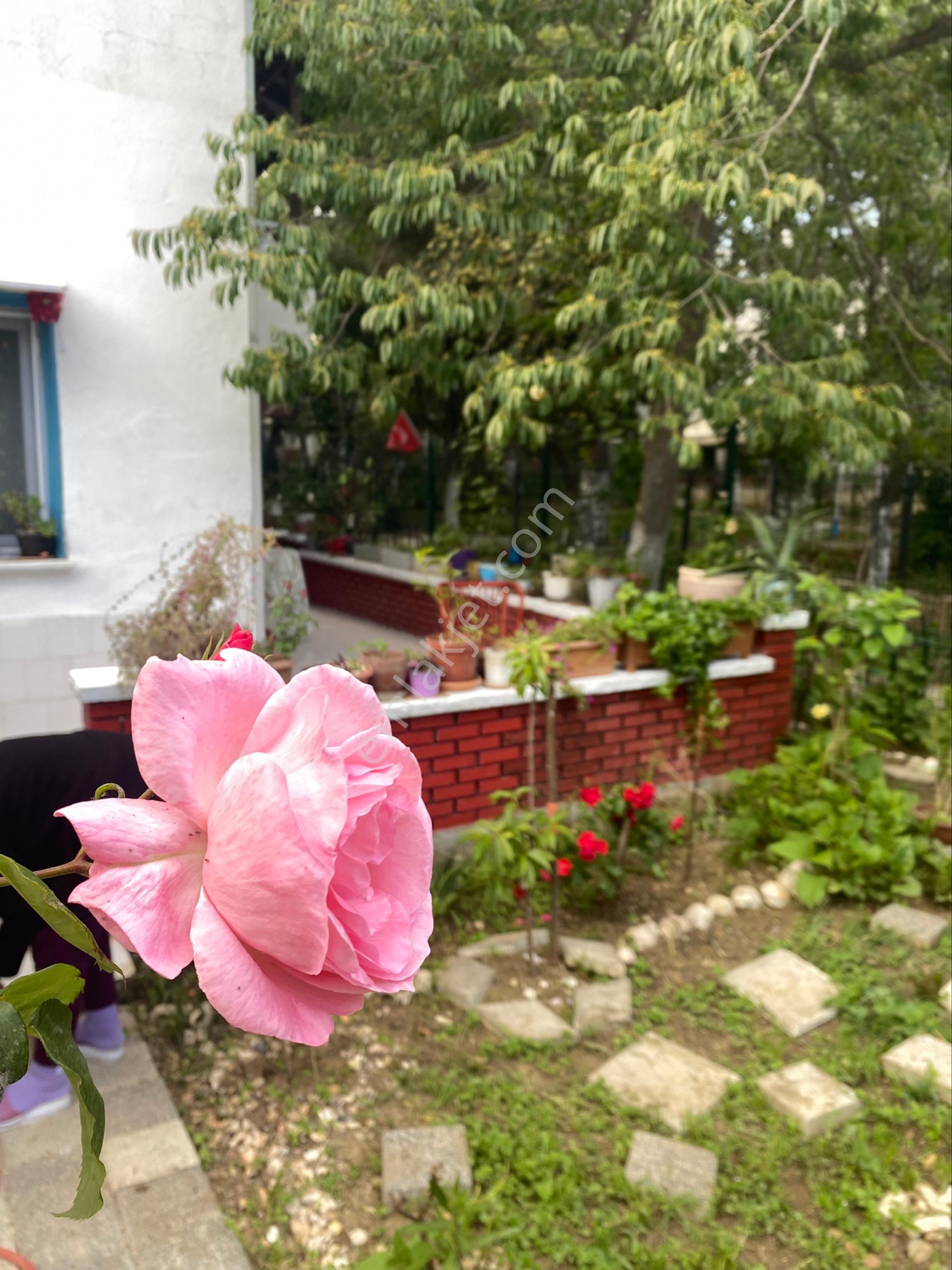 Sahibinden Köşe Bahçeli Yazlık Silivri - Görsel 11