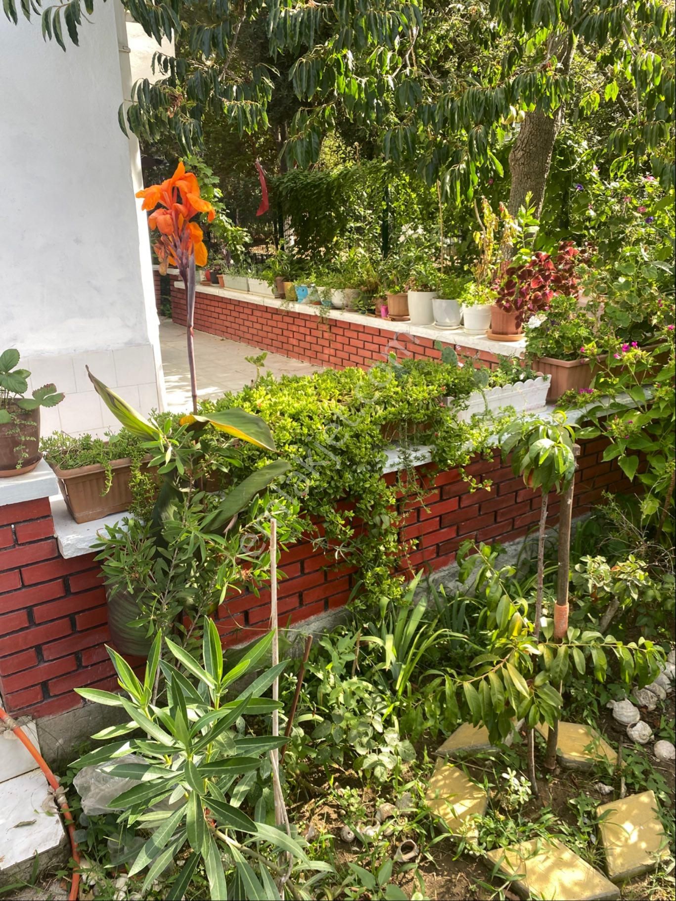 Sahibinden Köşe Bahçeli Yazlık Silivri - Görsel 15