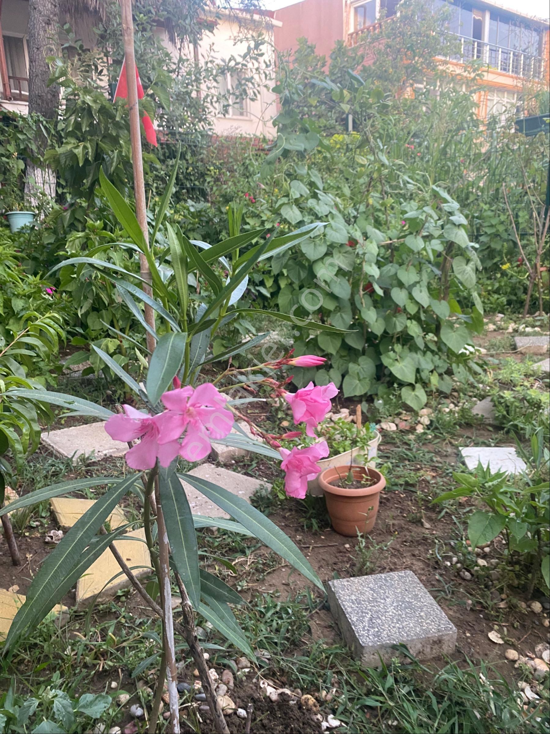 Sahibinden Köşe Bahçeli Yazlık Silivri - Görsel 7