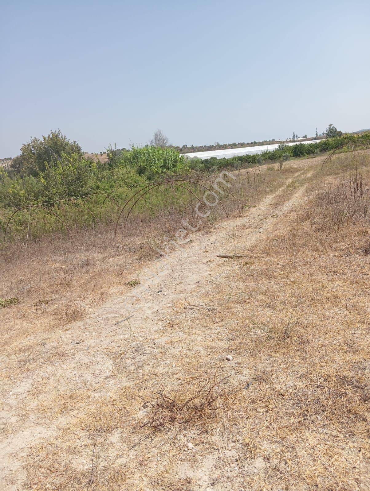 Evrenleryavşi De Satılık Ta - Görsel 6