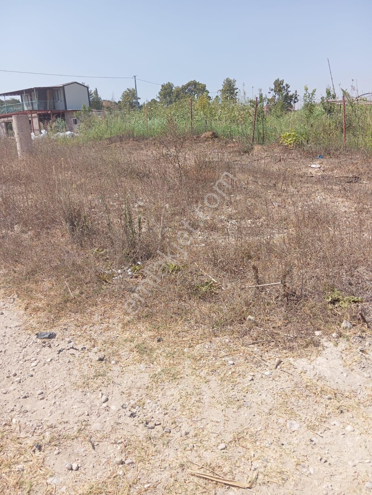 Evrenleryavşi De Satılık Ta - Görsel 2