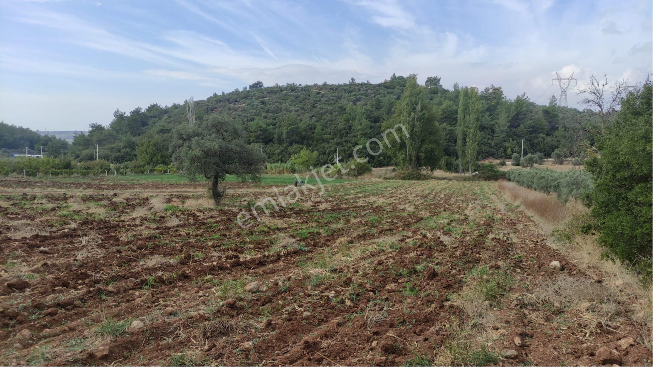 Yatırımlık Tek Tapu Uygun Fiyatlı Tarla - Görsel 12