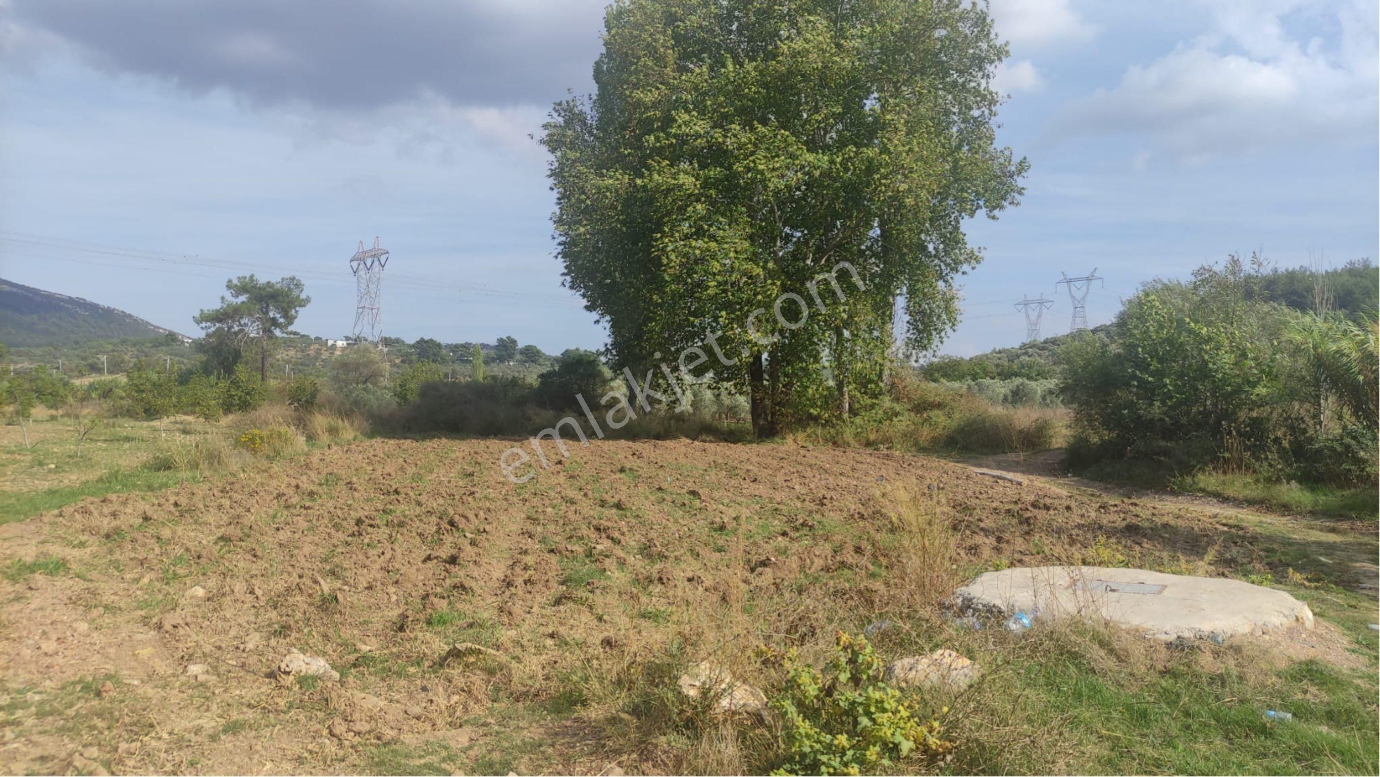 Yatırımlık Tek Tapu Uygun Fiyatlı Tarla - Görsel 13