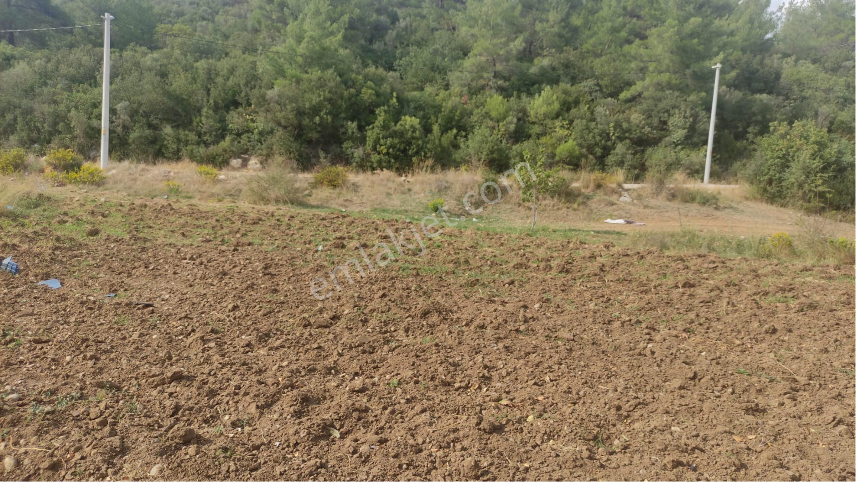 Yatırımlık Tek Tapu Uygun Fiyatlı Tarla - Görsel 5