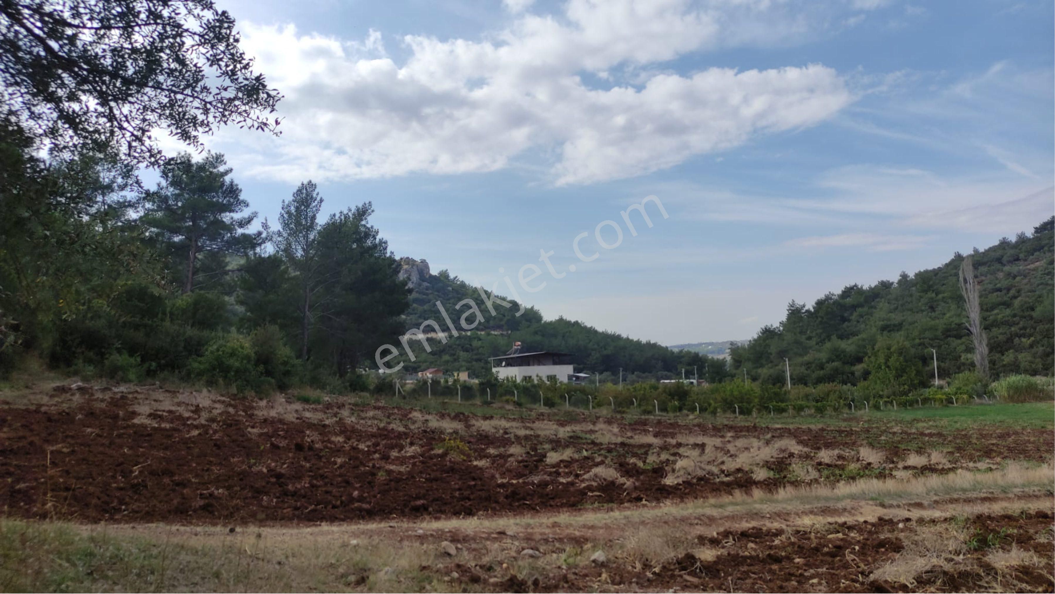 Yatırımlık Tek Tapu Uygun Fiyatlı Tarla - Görsel 16