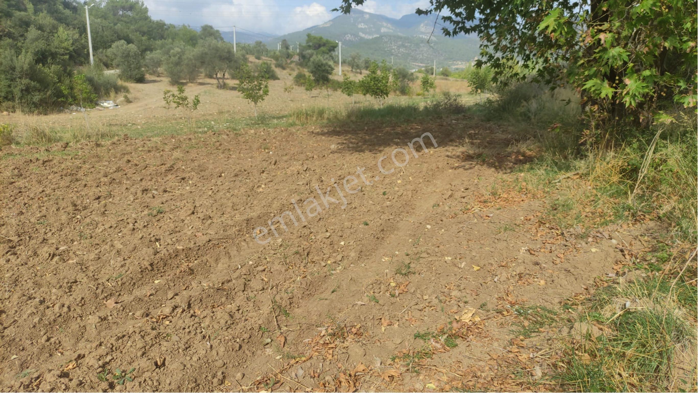 Yatırımlık Tek Tapu Uygun Fiyatlı Tarla - Görsel 10