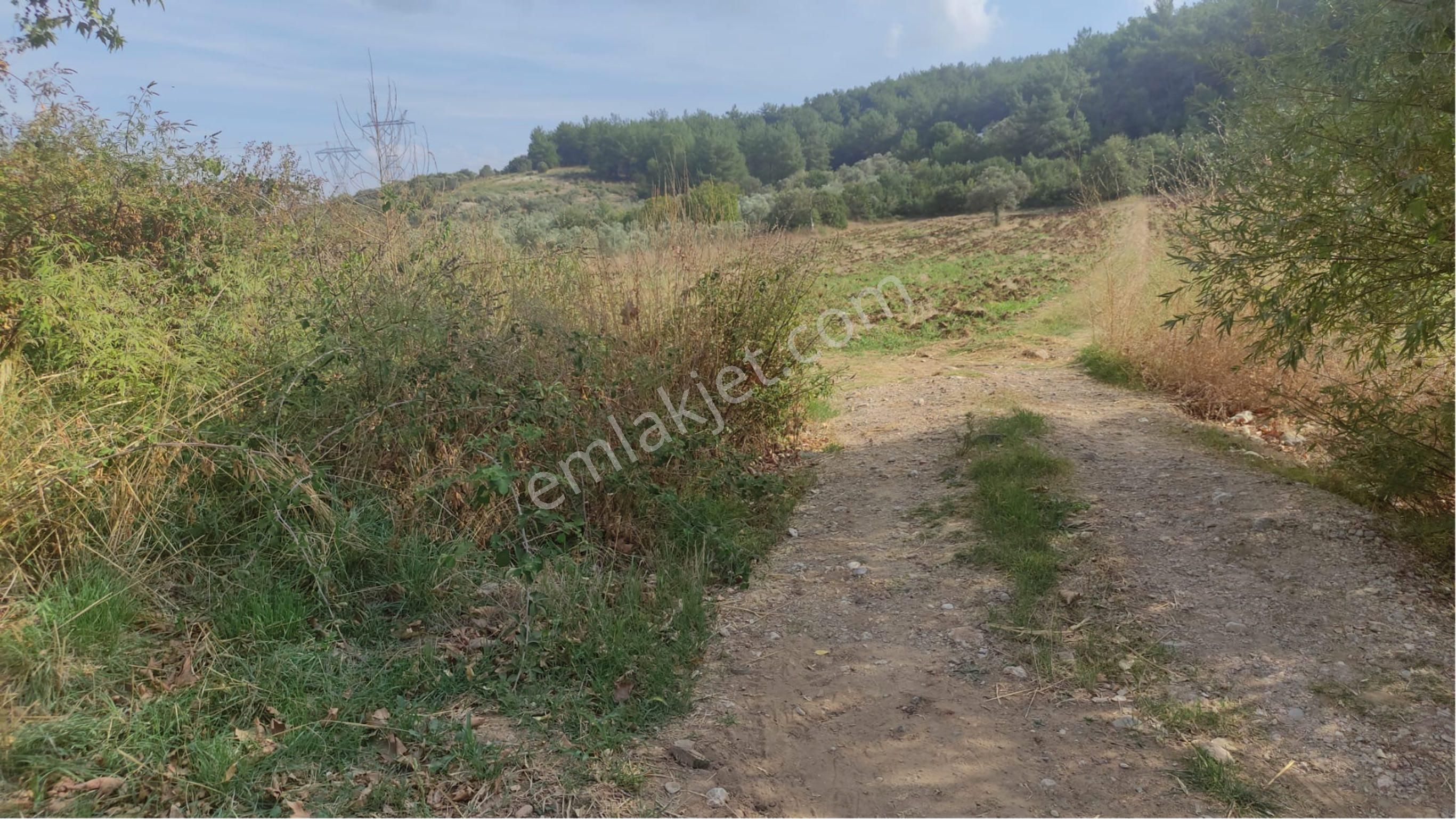 Yatırımlık Tek Tapu Uygun Fiyatlı Tarla - Görsel 19