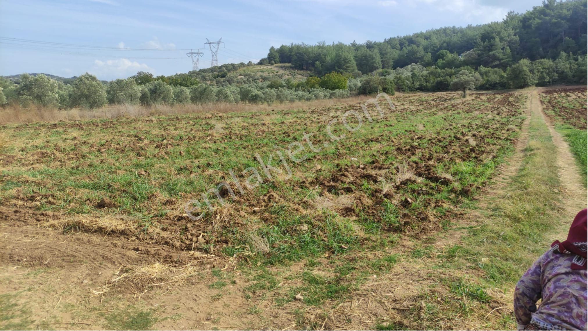 Yatırımlık Tek Tapu Uygun Fiyatlı Tarla - Görsel 22