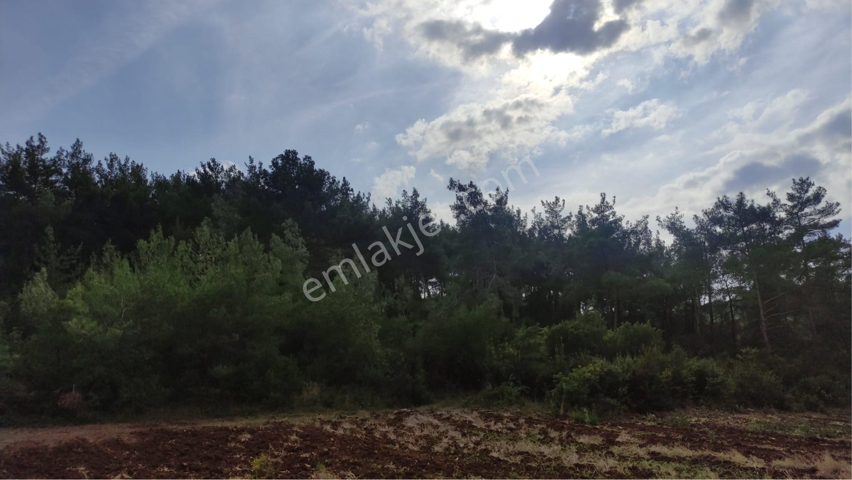 Yatırımlık Tek Tapu Uygun Fiyatlı Tarla - Görsel 29