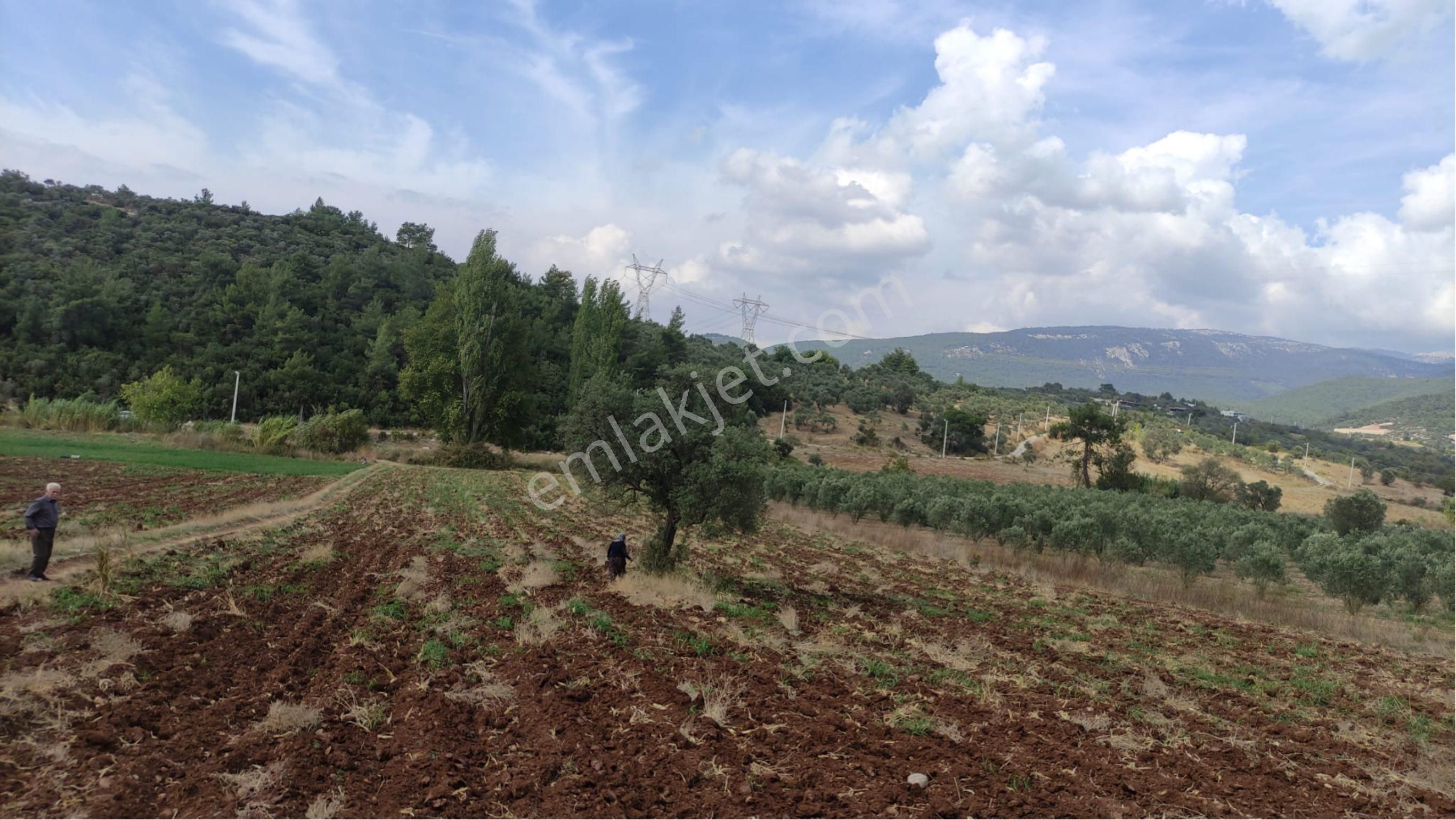 Yatırımlık Tek Tapu Uygun Fiyatlı Tarla - Görsel 17