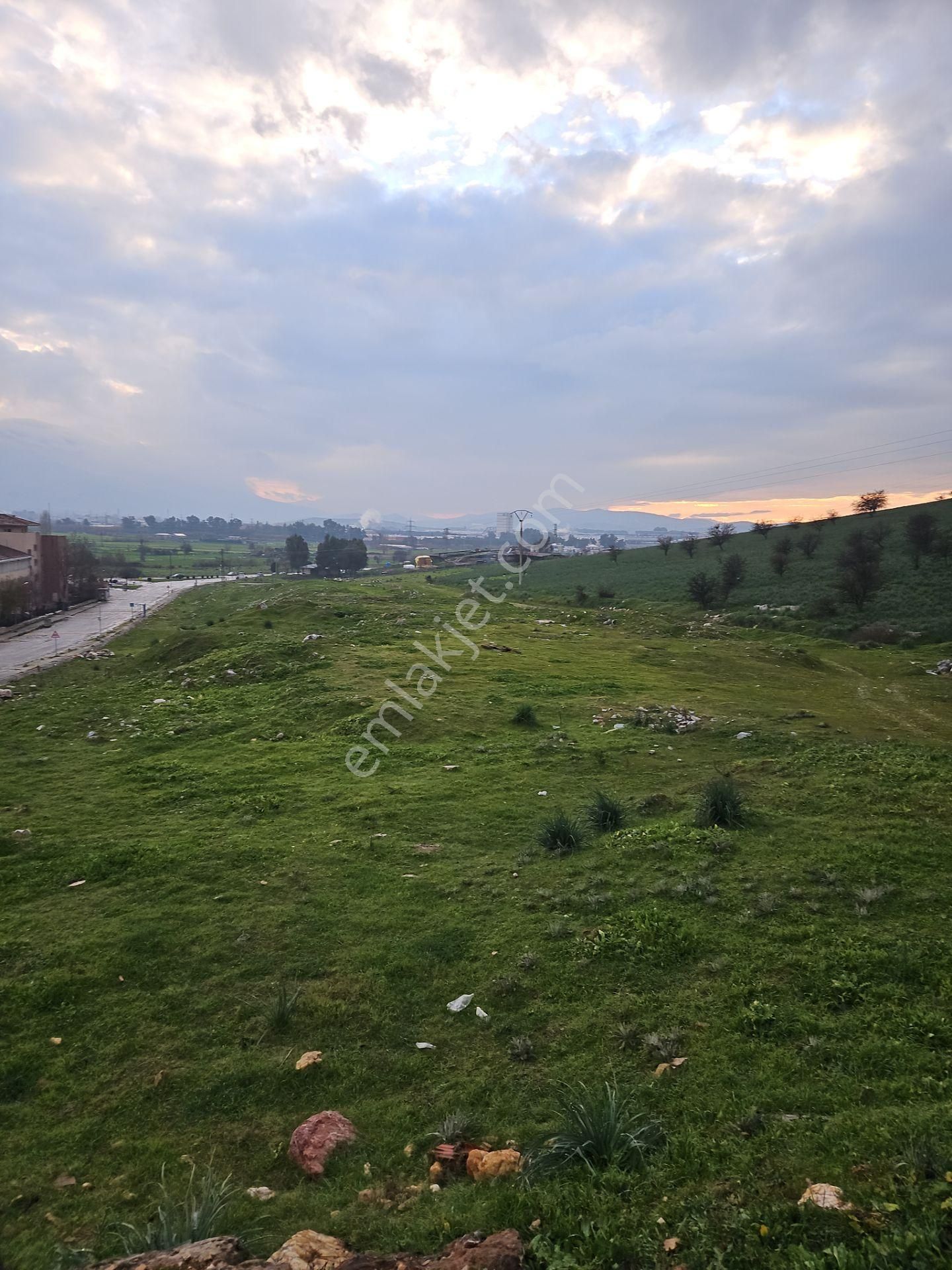 Izmır Tıre Tokı Evlerı Yakını 2900 Mt2 Kat Karşılığı Verılecek Fırsat Arsa!!! - Görsel 3