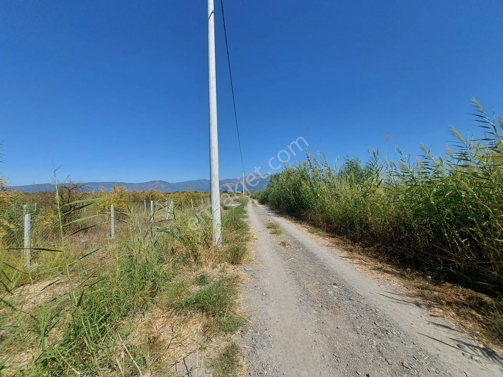 Ortaca Tepearasında 8126 M2 Yatırım Ve Zirayi Krediye Uygun Nar Bahçesi Satılık - Görsel 5