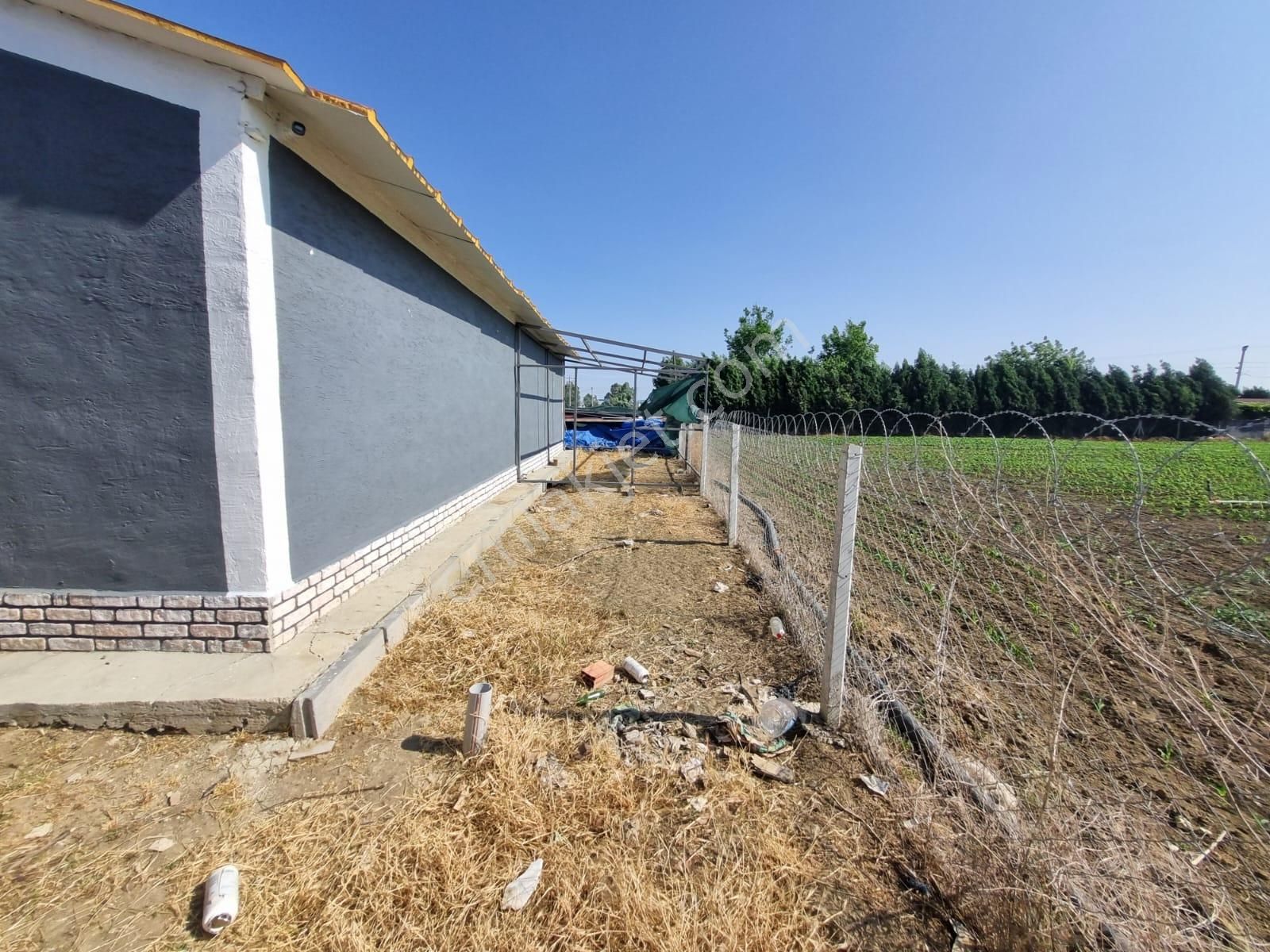 Muttalip, Koyunlar Mahallesinde, Satılık Çiftlik - Görsel 27